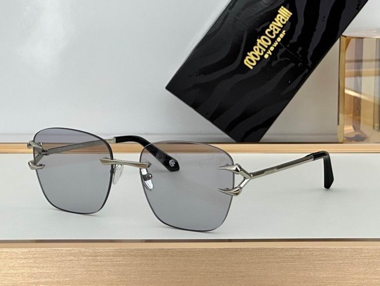 Roberto Cavalli Glasses (100)